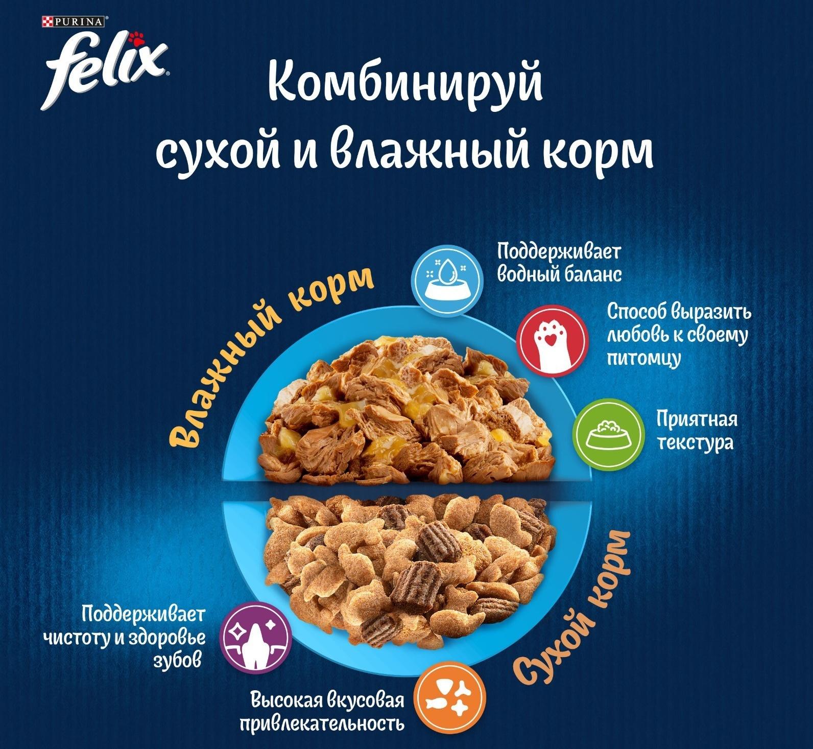 Влажный корм Felix Природа вкуса для кошек, лосось, 75 г
