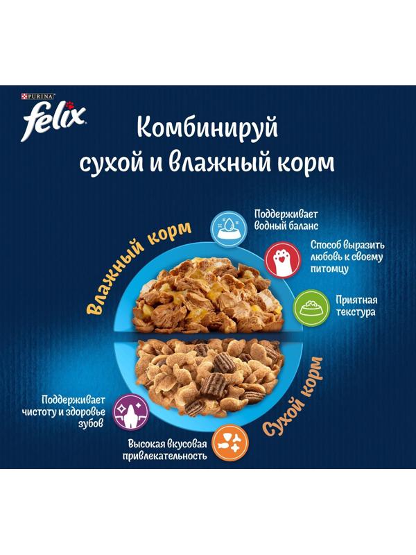 Влажный корм Felix Природа вкуса для кошек, лосось, 75 г
