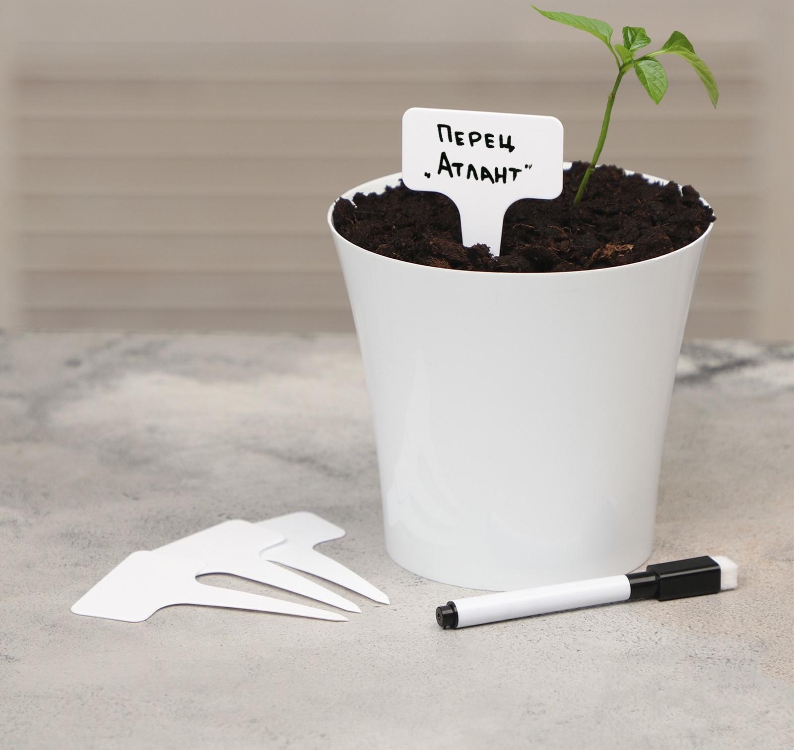 Таблички садовые для маркировки, 7 см, набор 10 шт + маркер, пластик, белые, Greengo
