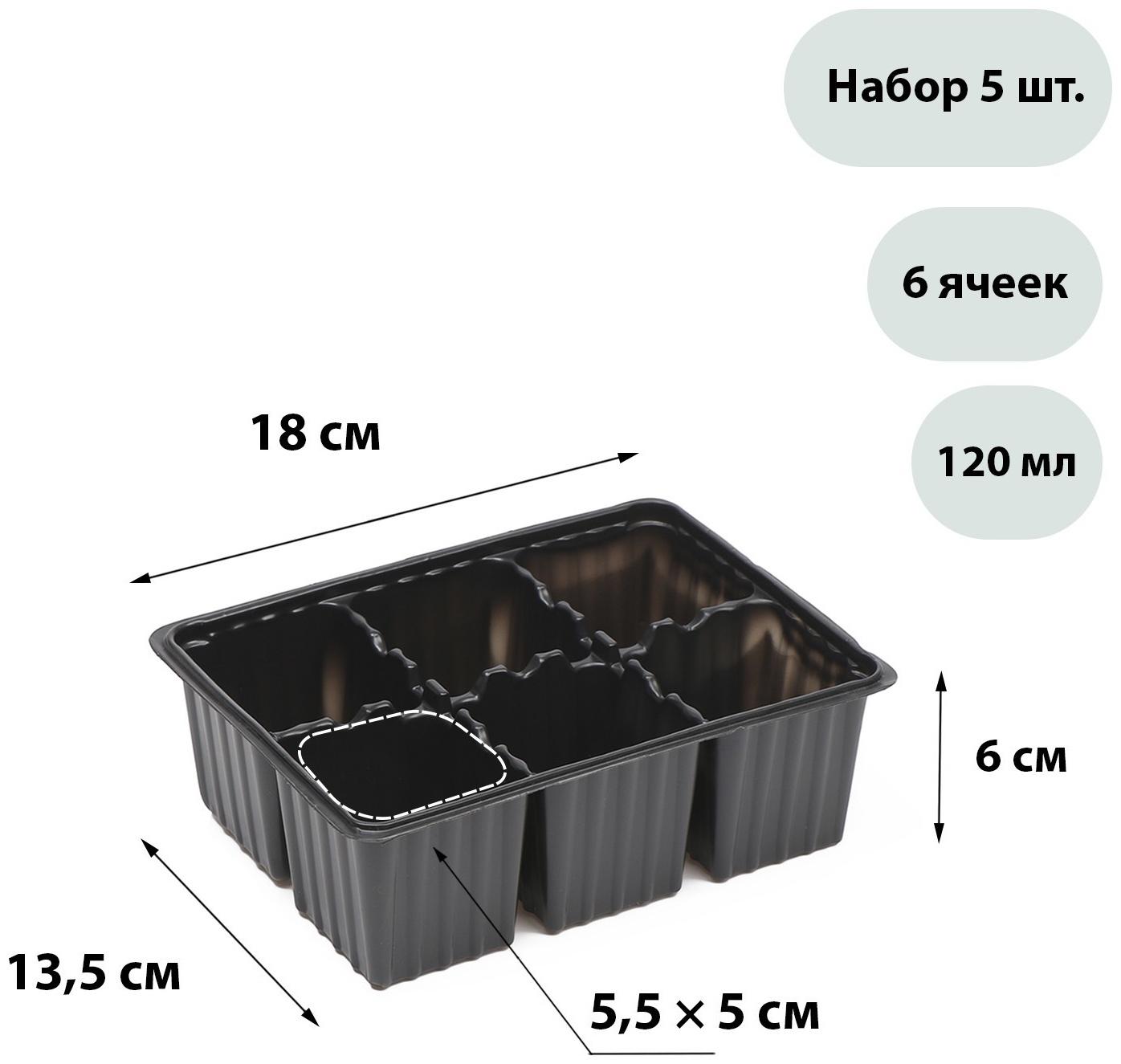 Кассета для рассады, 6 ячеек по 120 мл, набор 5 шт., чёрная