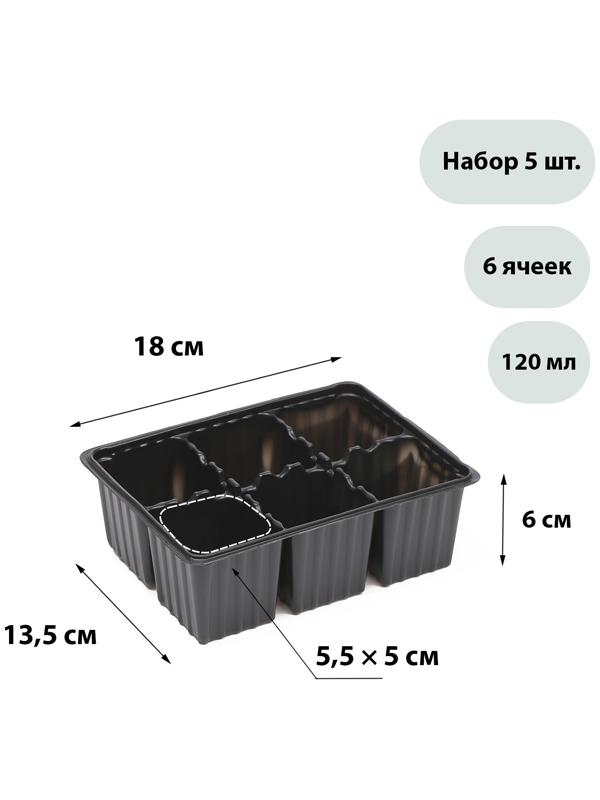 Кассета для рассады, 6 ячеек по 120 мл, набор 5 шт., чёрная