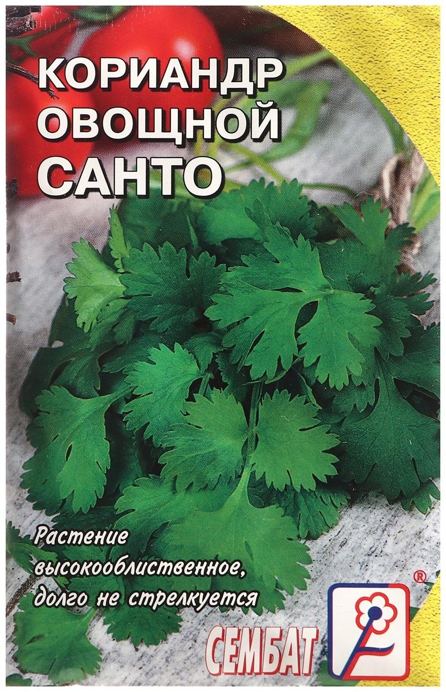 Семена Кориандр овощной 