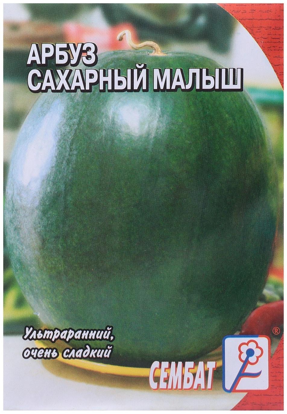 Семена Арбуз 