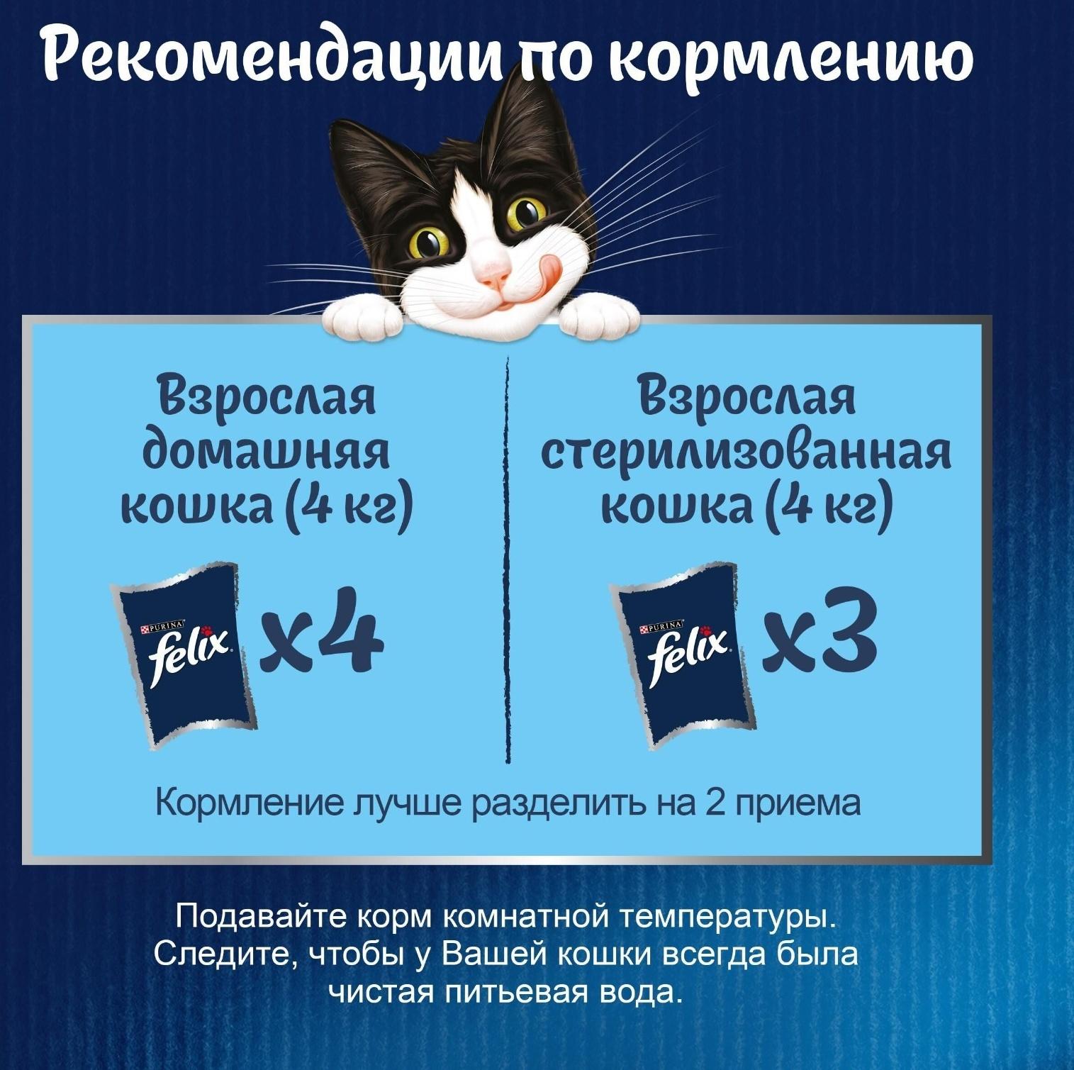 Влажный корм Felix Аппетитные кусочки для кошек, форель в желе, пауч 75 г