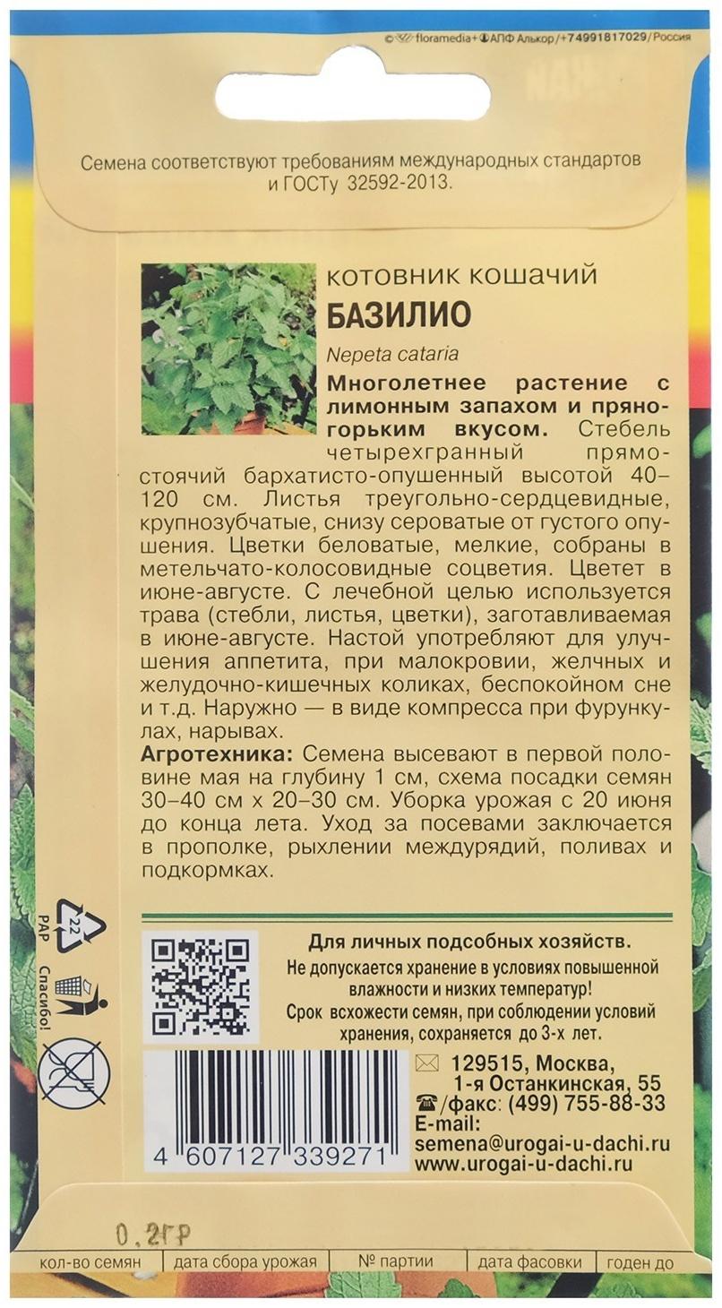 Семена Котовник кошачий 