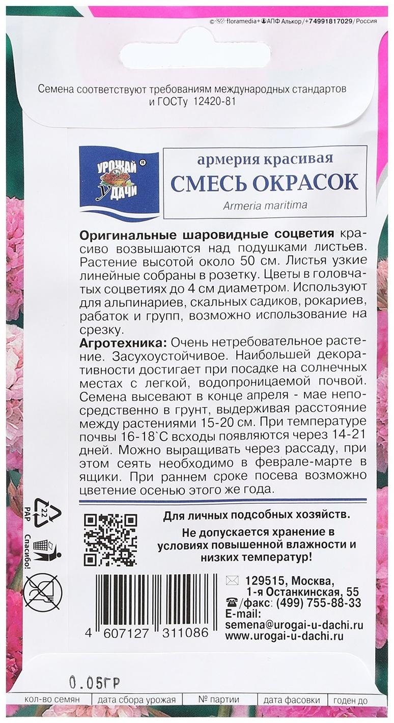 Семена цветов Армерия красивая 