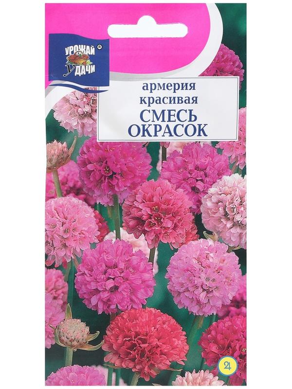 Семена цветов Армерия красивая 