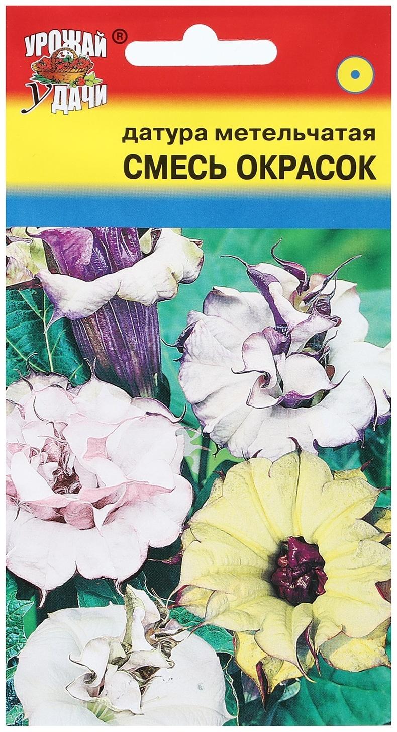 Семена цветов Датура Смесь 