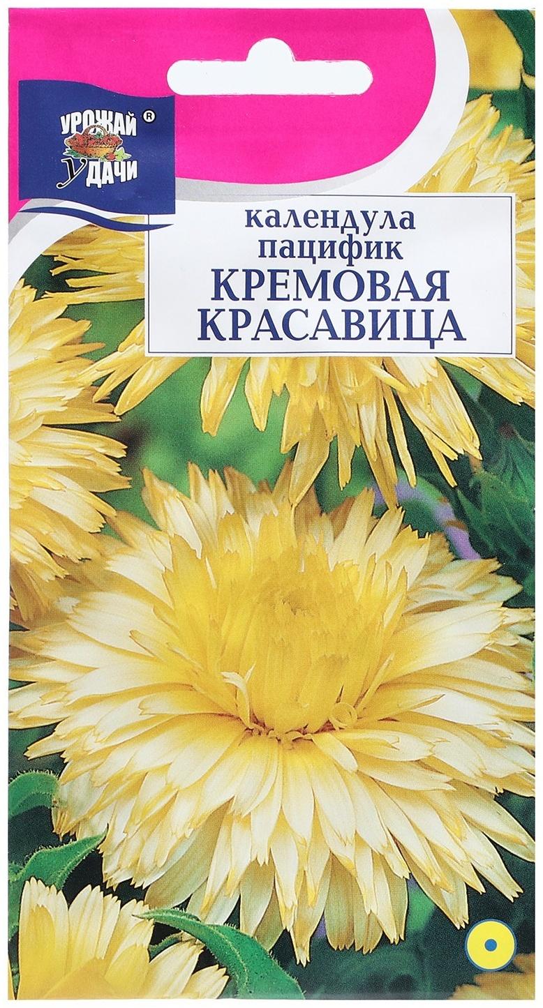 Семена цветов Календула 