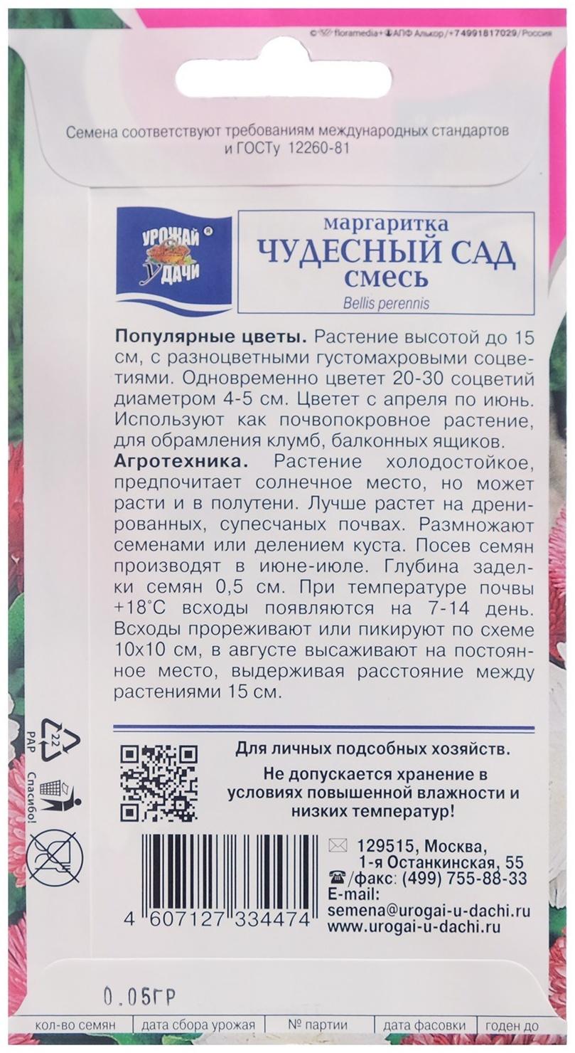 Семена цветов Маргаритка 