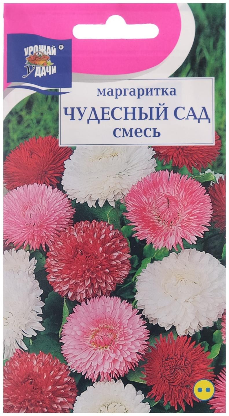 Семена цветов Маргаритка 