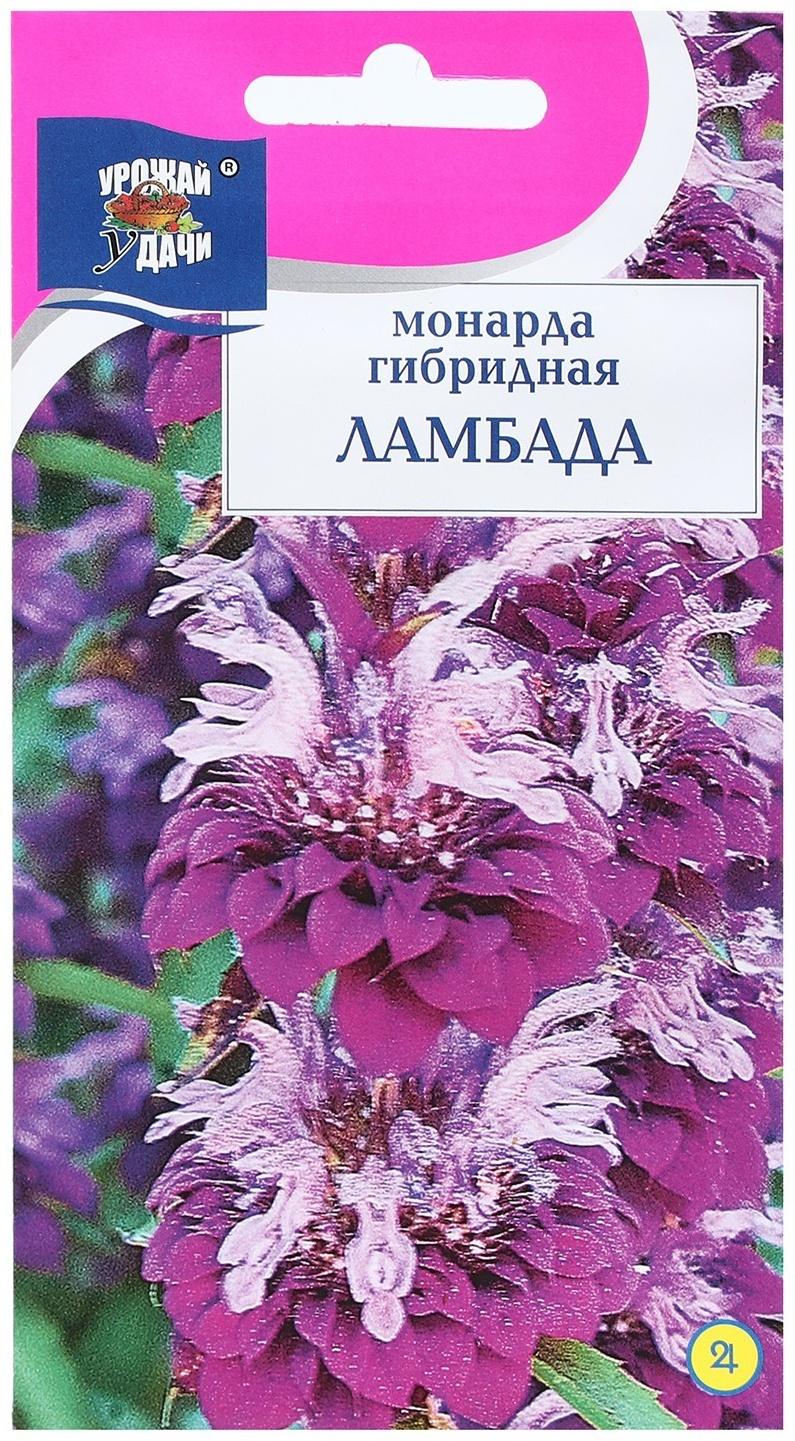 Семена цветов Монарда гибридная 