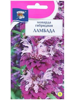 Семена цветов Монарда гибридная 