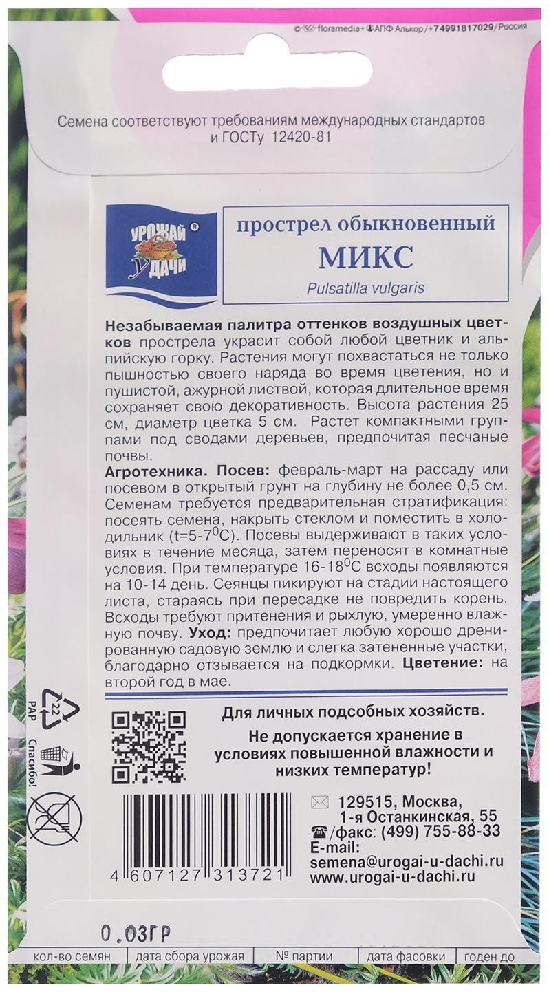 Семена цветов Прострел обыкновенный 