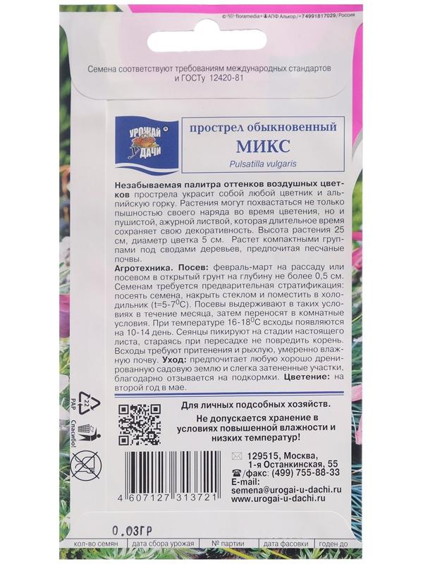 Семена цветов Прострел обыкновенный 