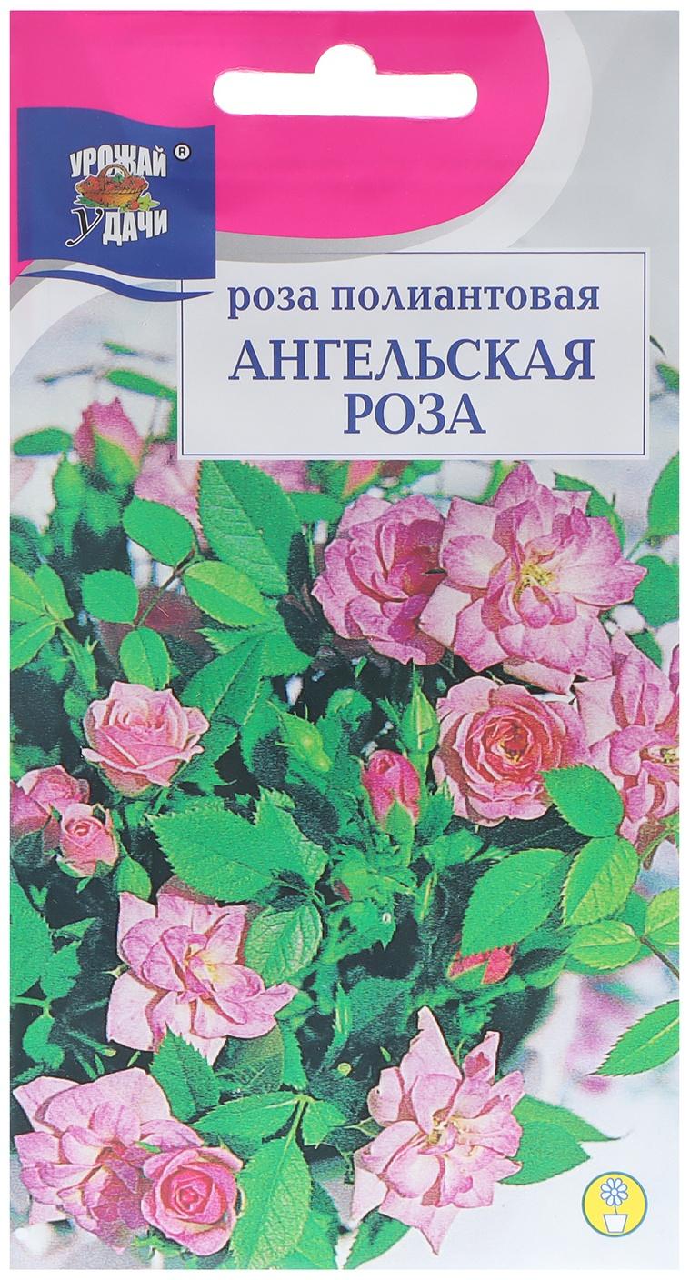 Семена цветов Роза полиантовая 