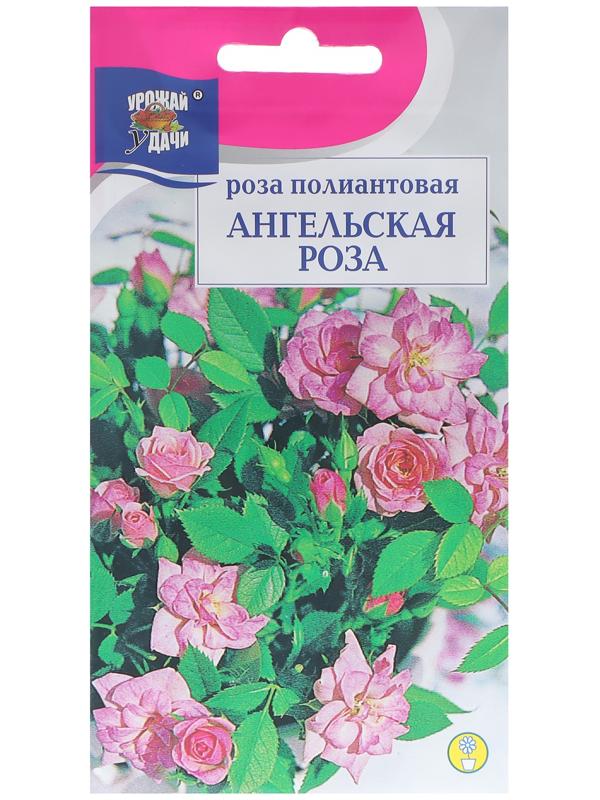 Семена цветов Роза полиантовая 