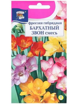 Семена цветов Фрезия гибридная 