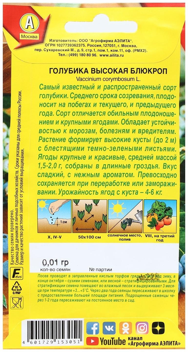 Семена Голубика высокая 