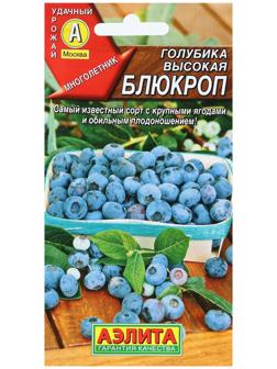 Семена Голубика высокая 
