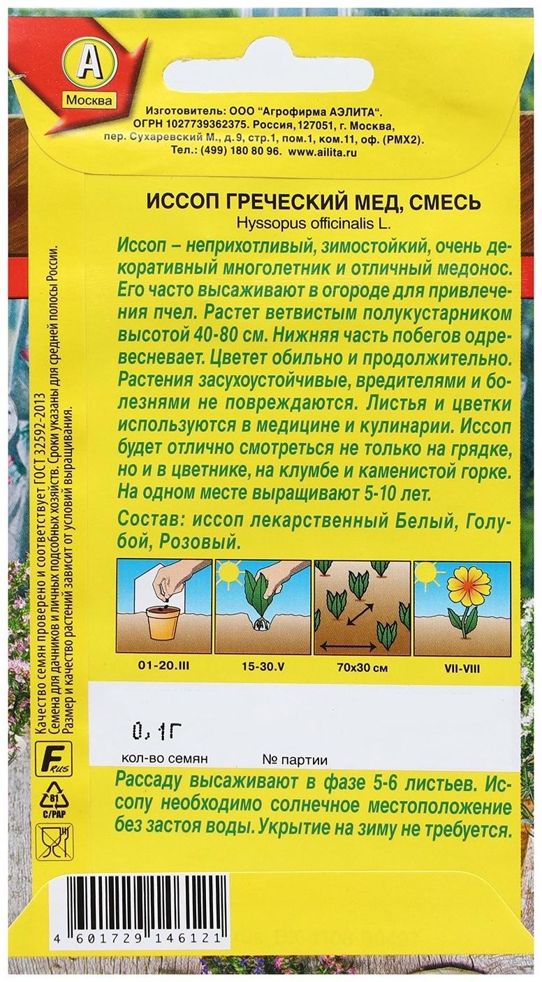 Семена Иссоп 