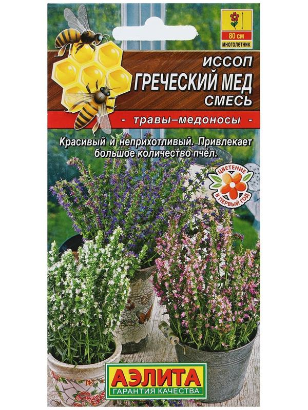 Семена Иссоп 