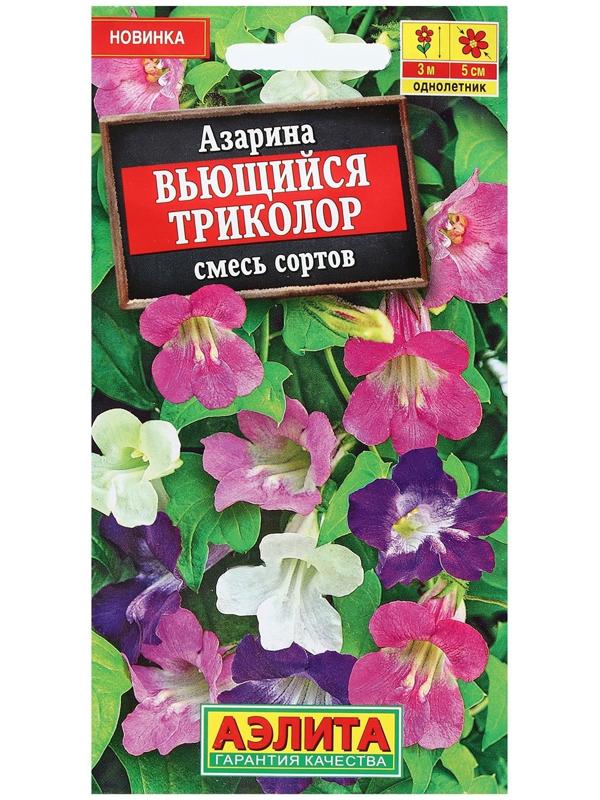 Семена Цветов Азарина 