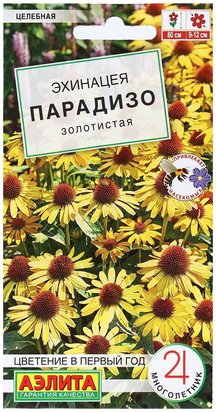 Семена Цветов Эхинацея 