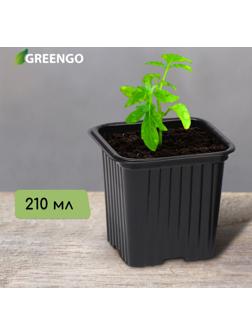 Горшок для рассады, 210 мл, 7 × 5 × 6,5 см, набор 5 шт., чёрный