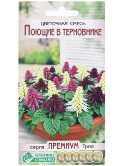 Семена Цветов Цветочная смесь Поющие в Терновнике, 9 шт