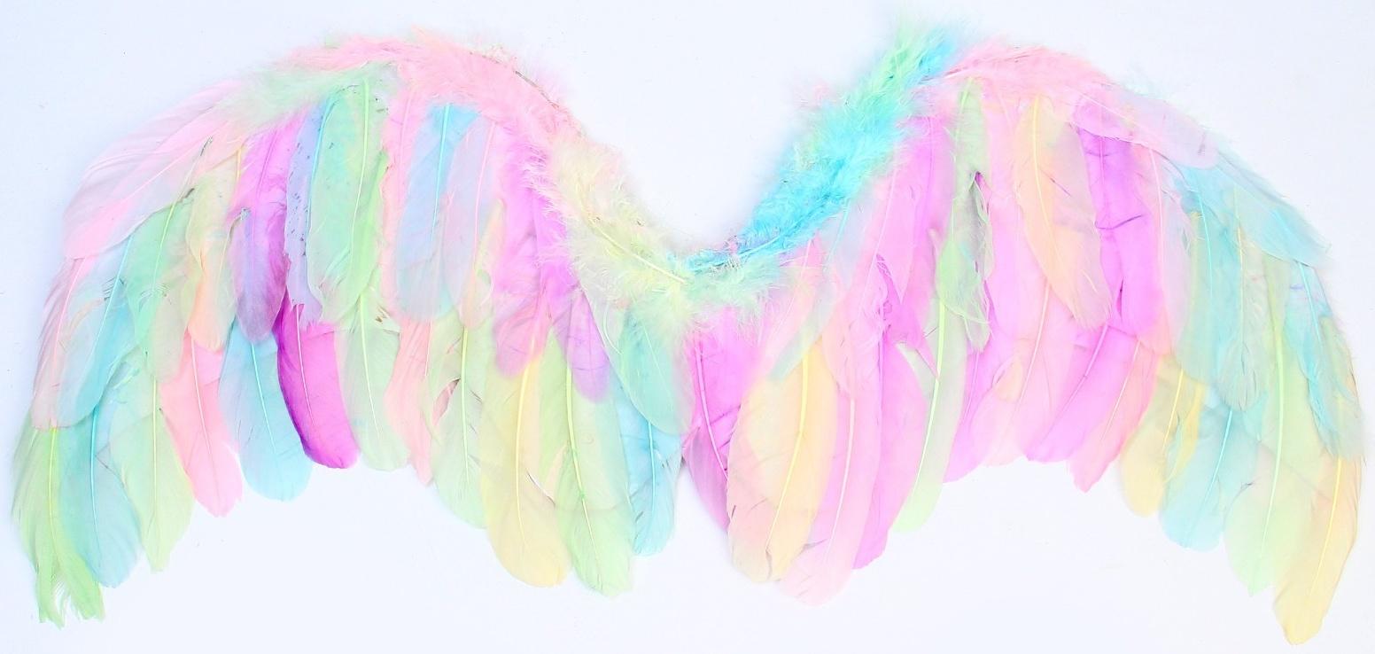 Крылья ангела 52×23 см