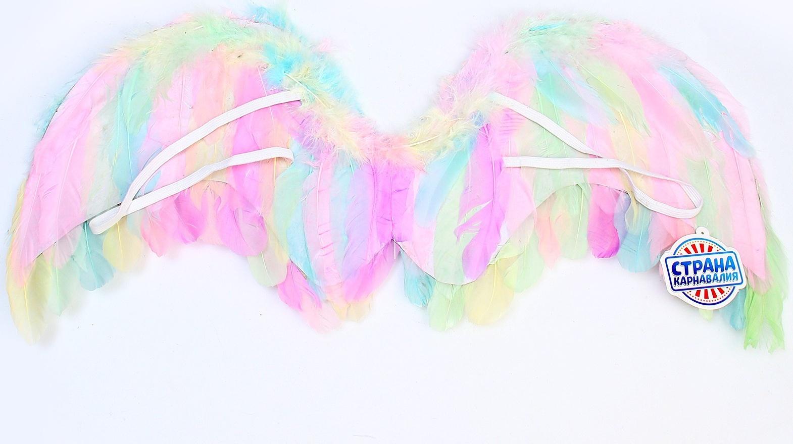 Крылья ангела 52×23 см