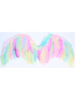 Крылья ангела 52×23 см