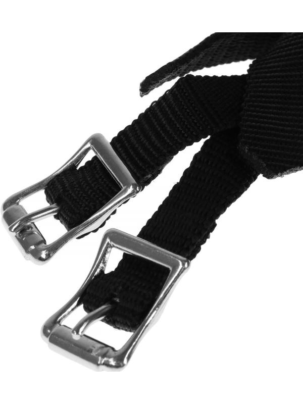 Шпоры + тренчики для верховой езды, набор 2 шт