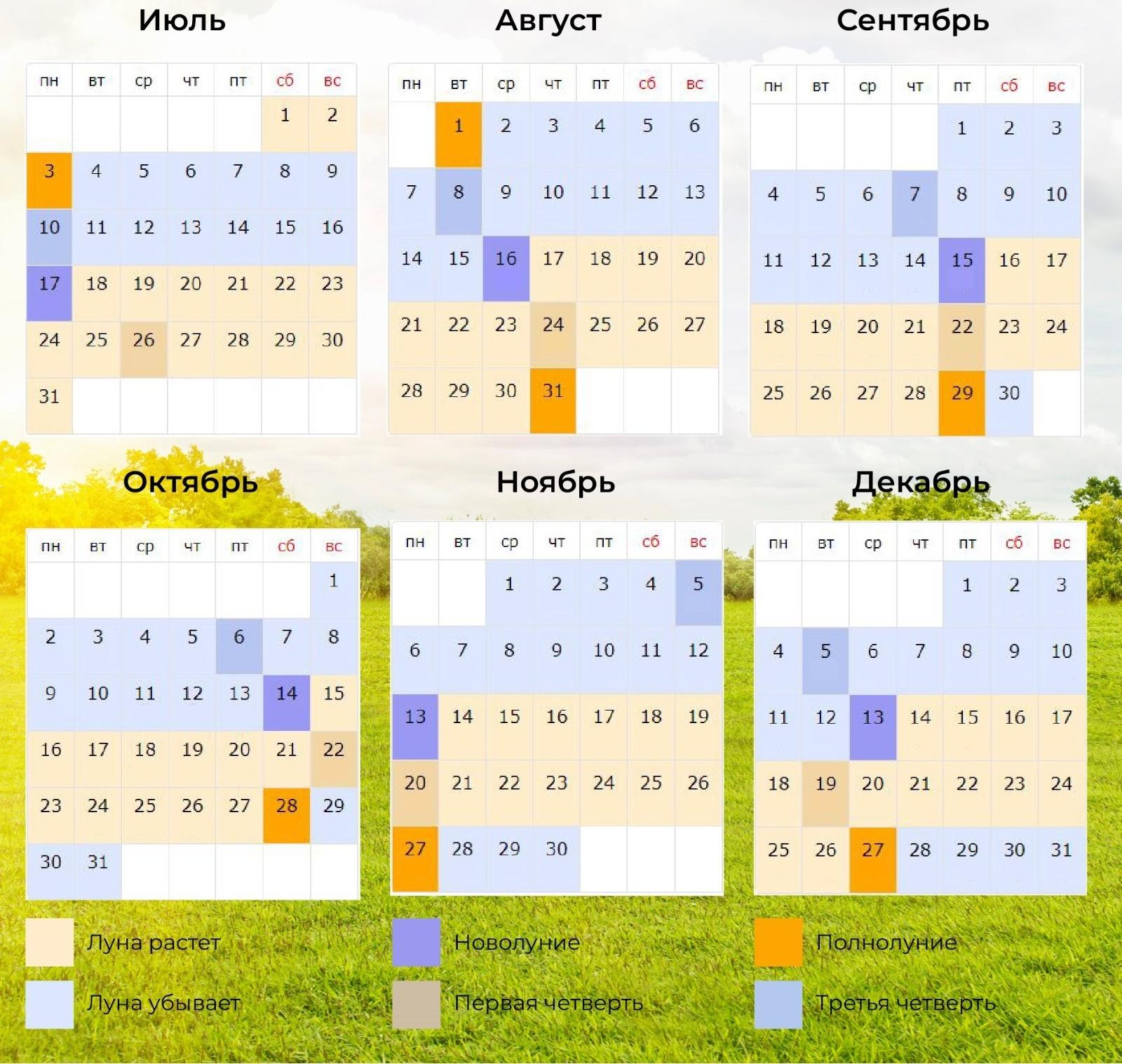 Семена Редис 