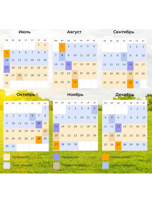 Семена Редис 