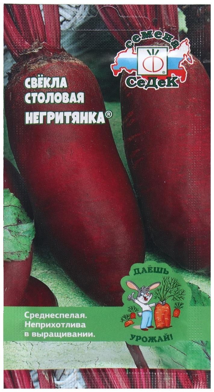 Семена Свёкла  