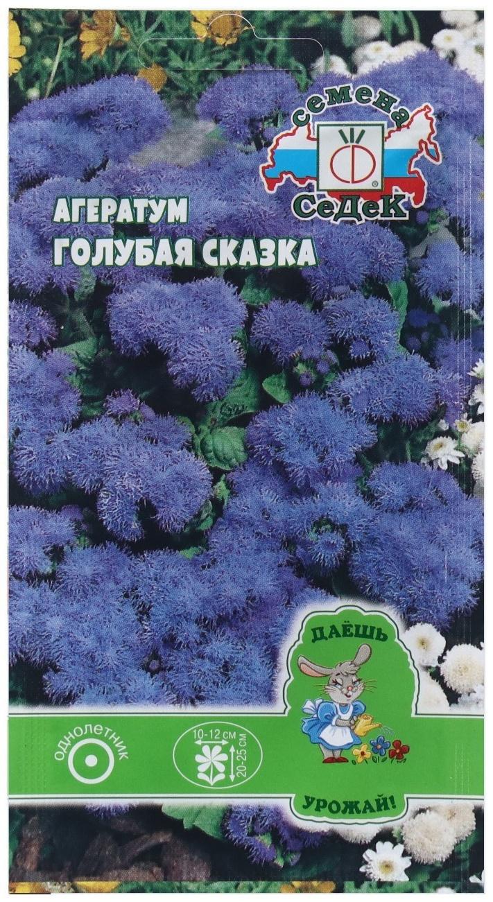 Семена Цветок Агератум 