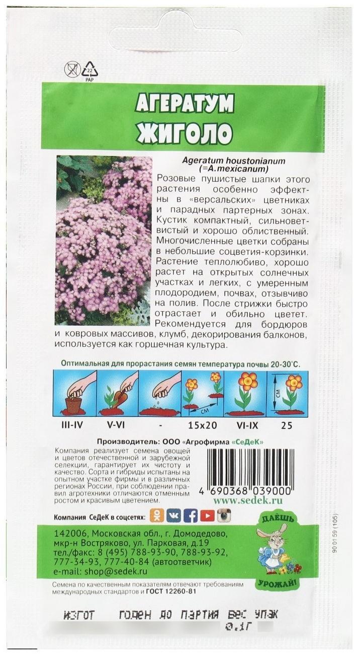 Семена Цветок Агератум 