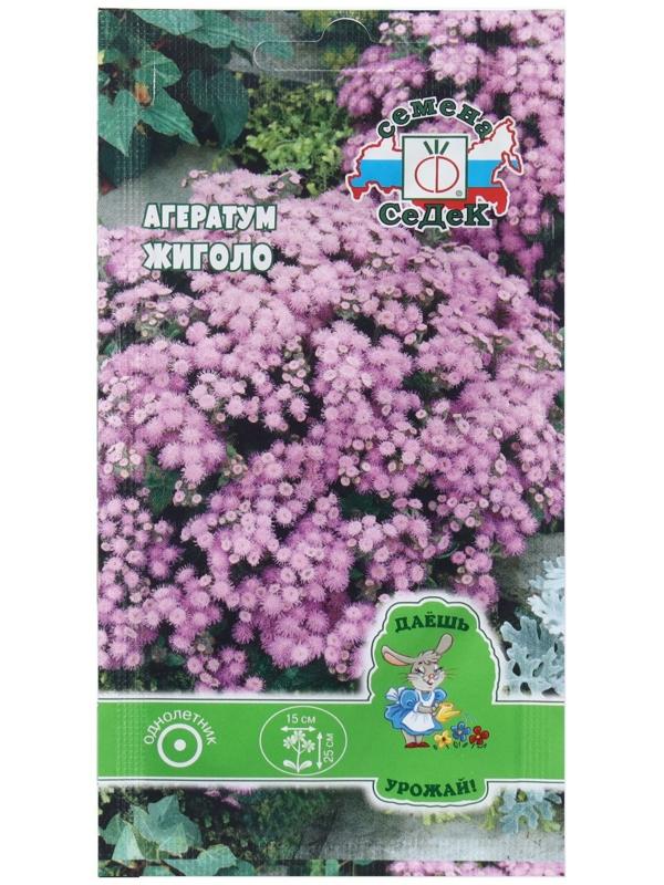 Семена Цветок Агератум 