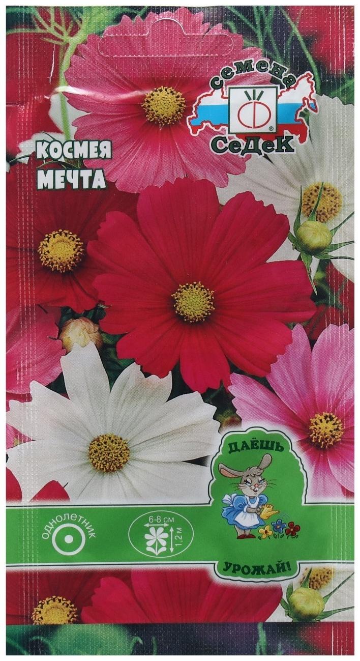 Семена Цветок Космея 