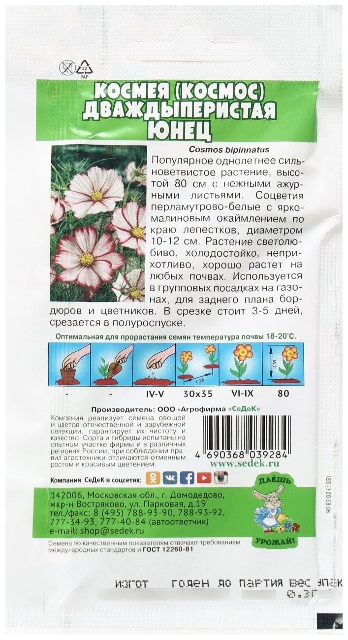 Семена Цветок Космея 