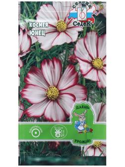 Семена Цветок Космея 