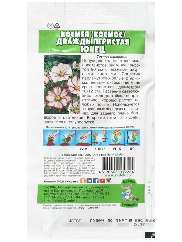 Семена Цветок Космея 