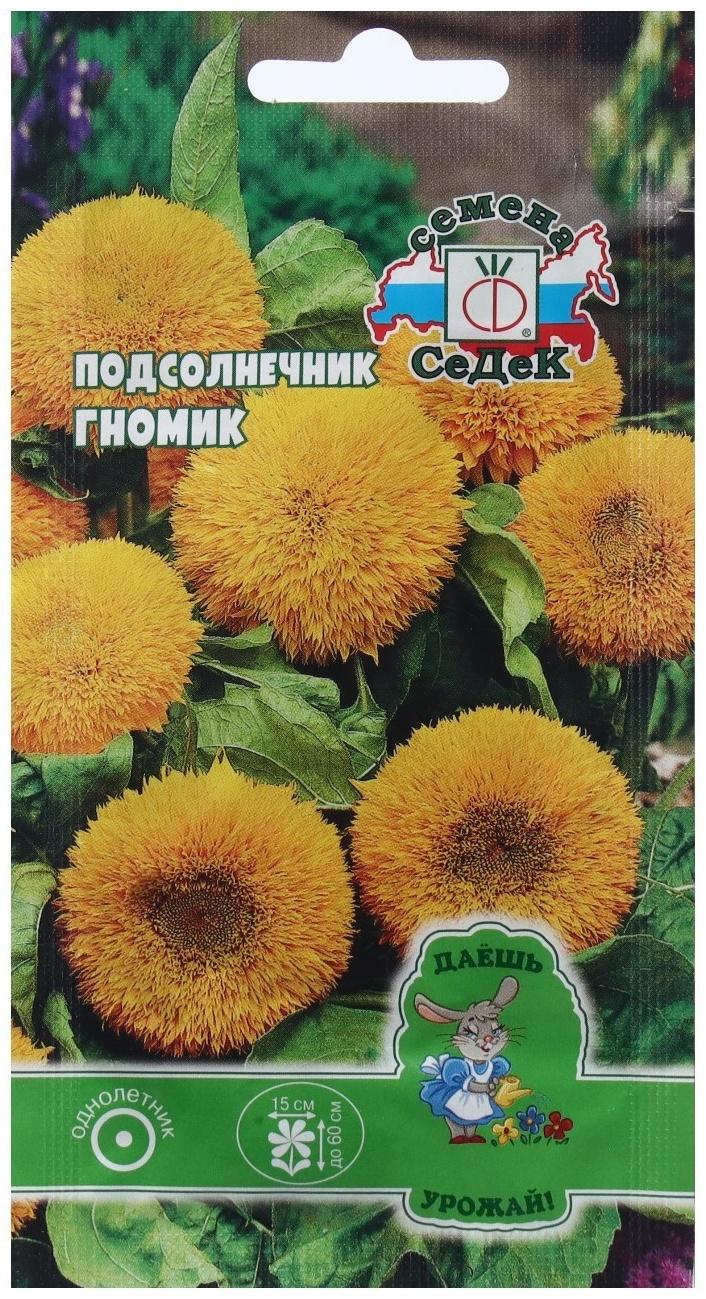 Семена Цветок Подсолнечник 