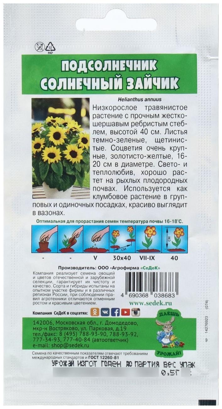 Семена Цветок Подсолнечник 