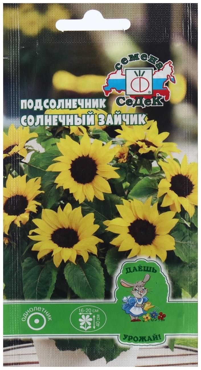 Семена Цветок Подсолнечник 