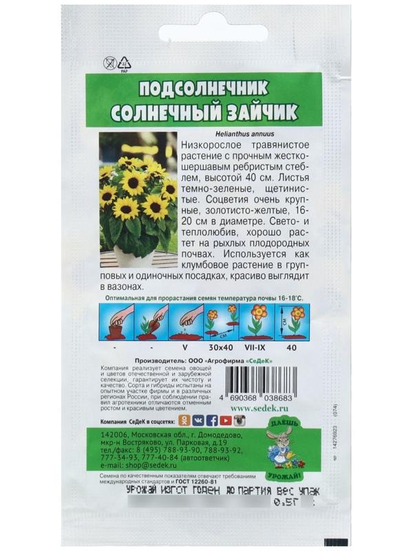 Семена Цветок Подсолнечник 