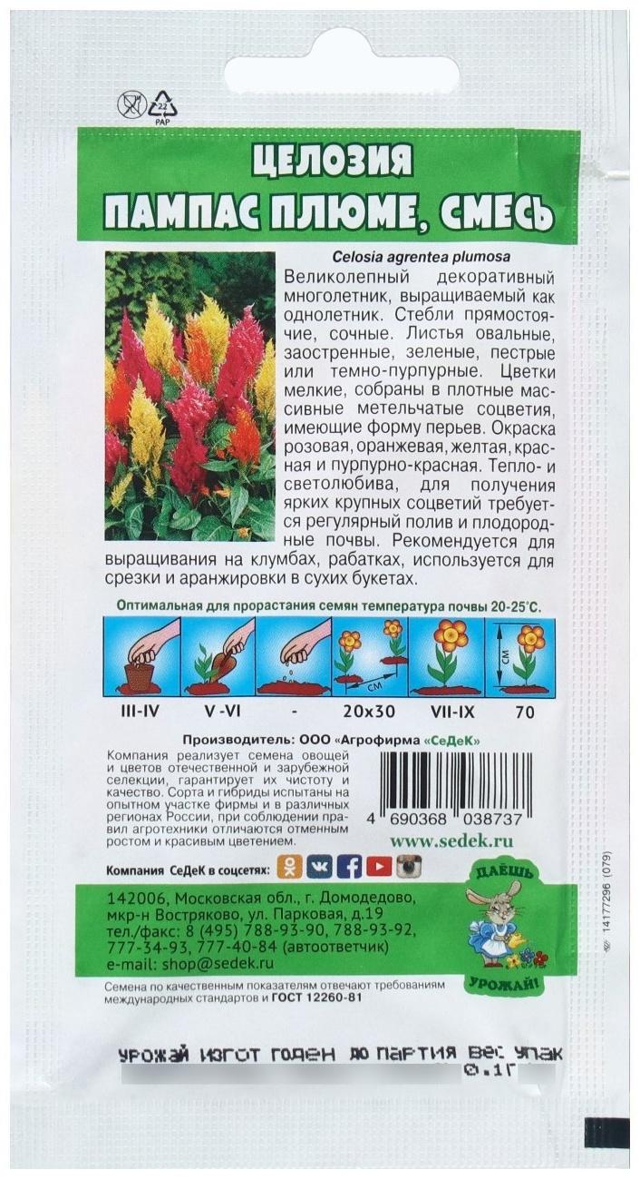 Семена Цветок Целозия 