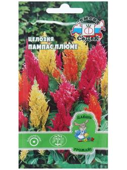 Семена Цветок Целозия 